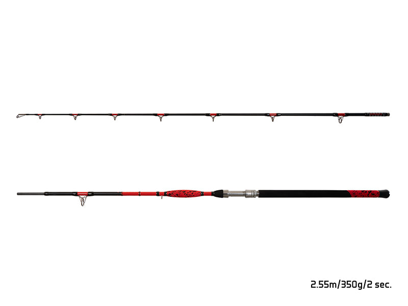 Delphin DANGER CatFISH 285cm/350g/2 tronsoane