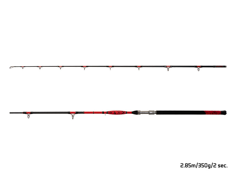 Delphin DANGER CatFISH 285cm/350g/2 tronsoane