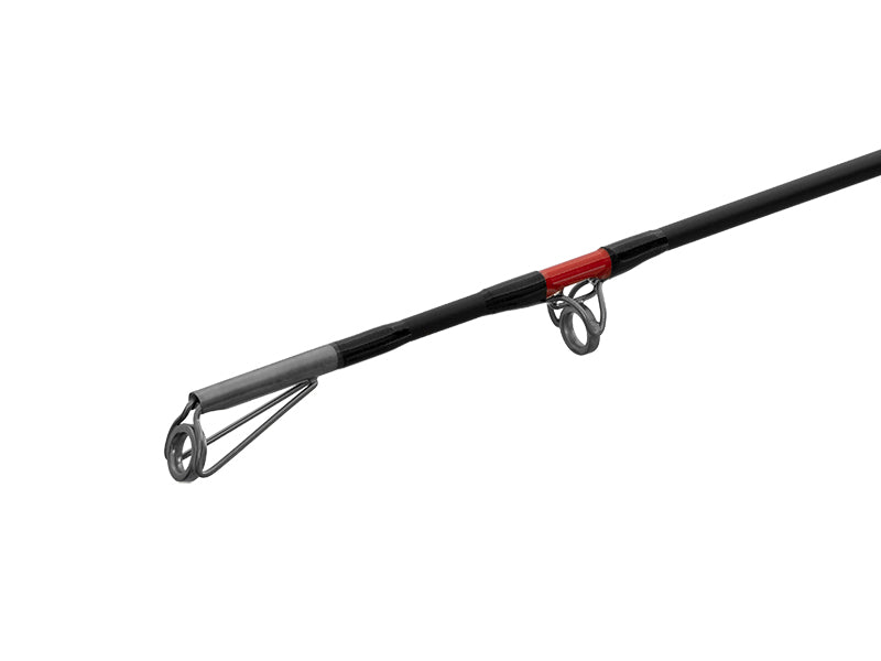 Delphin DANGER CatFISH 285cm/350g/2 tronsoane