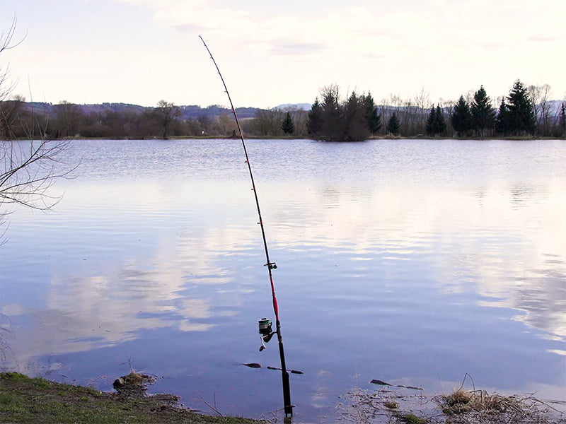 Delphin DANGER CatFISH 255cm/350g/2 tronsoane