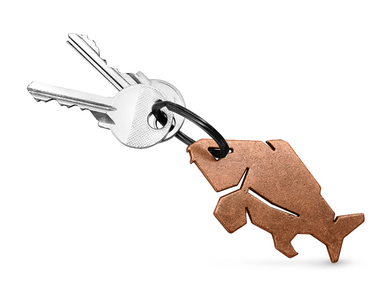 Breloc cu deschizător de sticle Delphin CARPENER bronz bronz