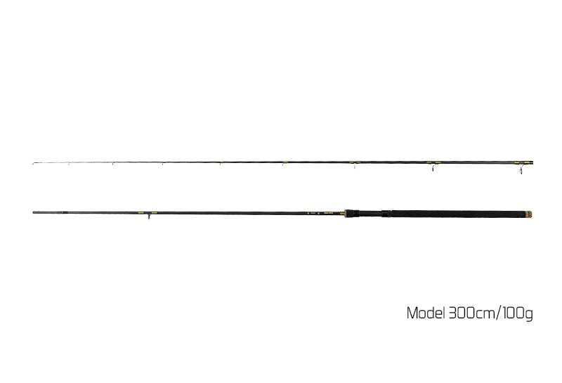 Delphin MURENA / 2 tronsoane 270cm/100g