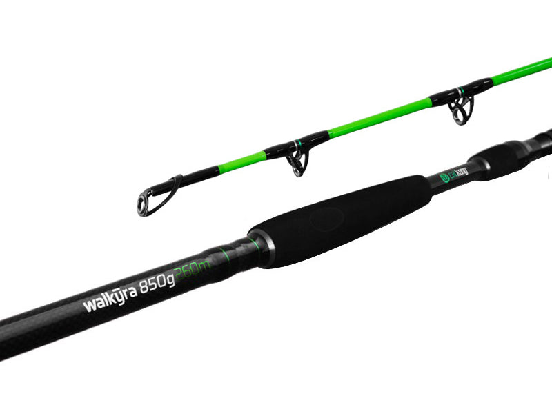 Delphin WALKYRA / 2 tronsoane 300cm/850g