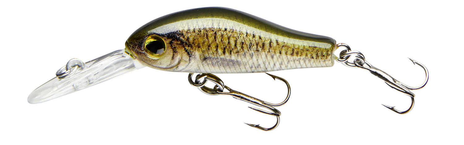 COR F2 3,5CM/2,5G CARP