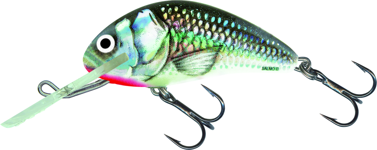 Hornet Sinking 5cm Holographic Grey Shiner