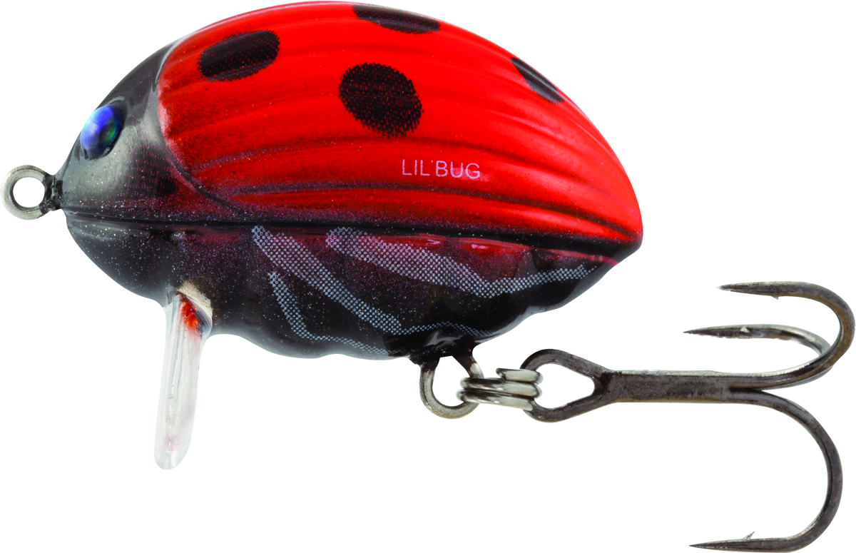 Lil'Bug Floating 2cm Ladybird