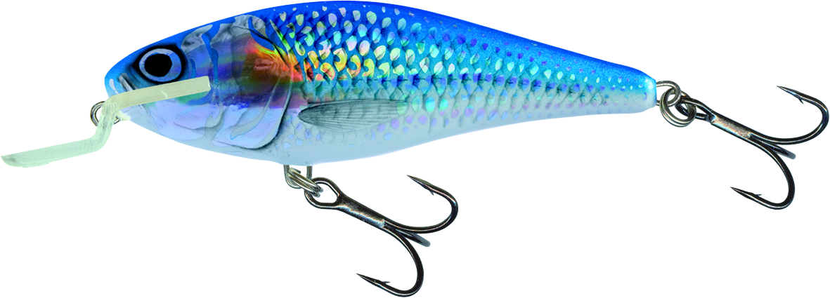 Executor Shallow Runner 9cm Holo Shiner