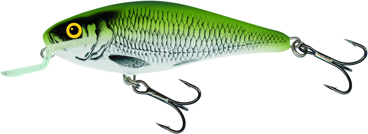 Executor Shallow Runner 7cm Olive Bleak