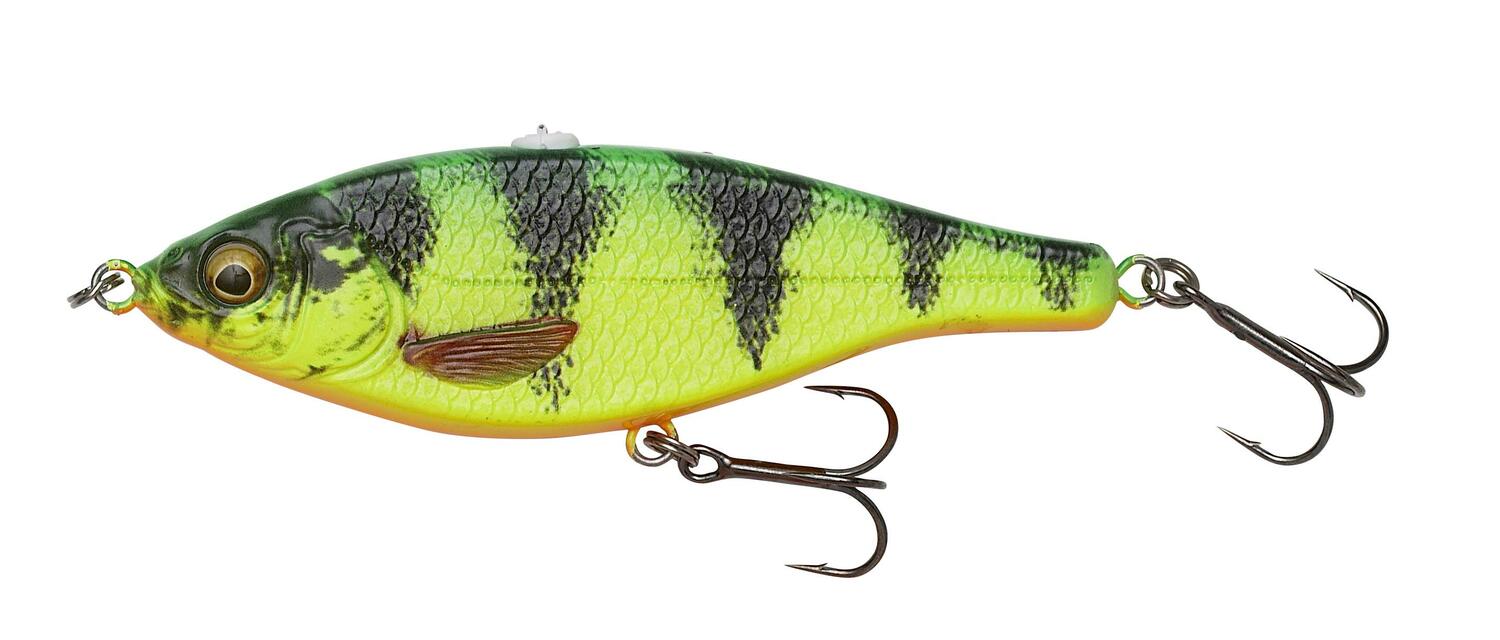 3D ROACH JERKSTER 9CM/20G SS05
