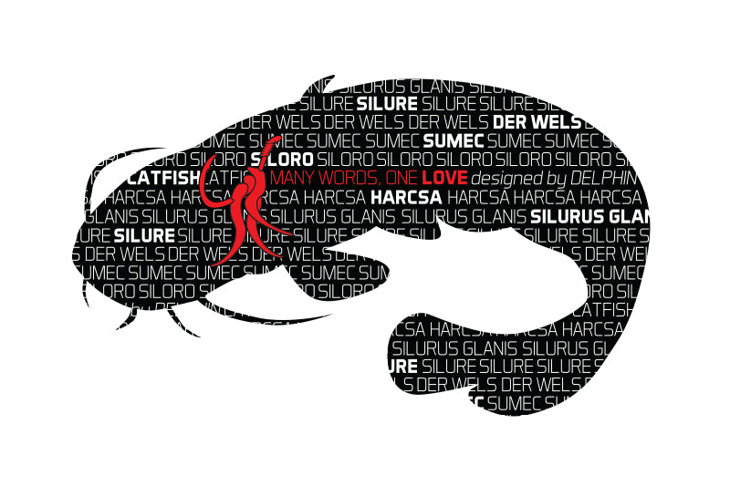 Sticker SOMN seria Words