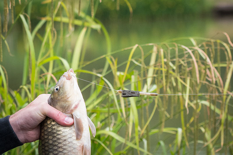 Matrix Open Alloy Feeder (Inter size)