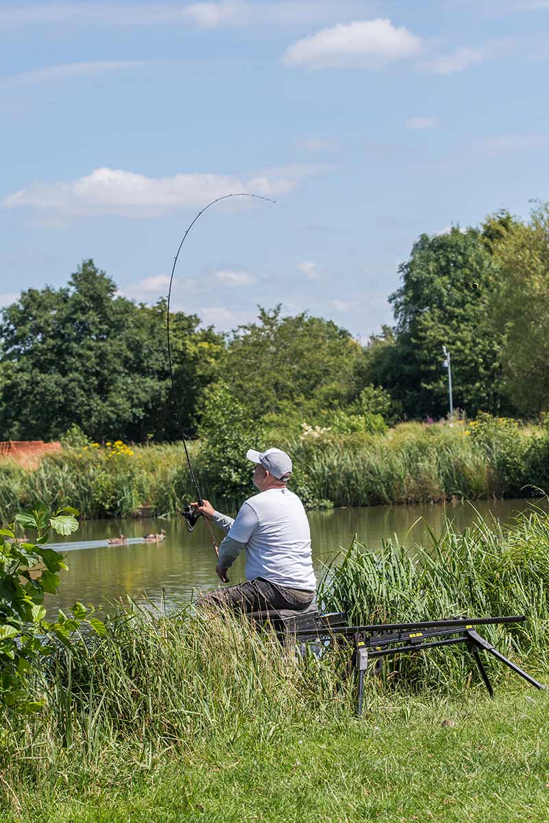 Aquos Ultra C Feeder Rods