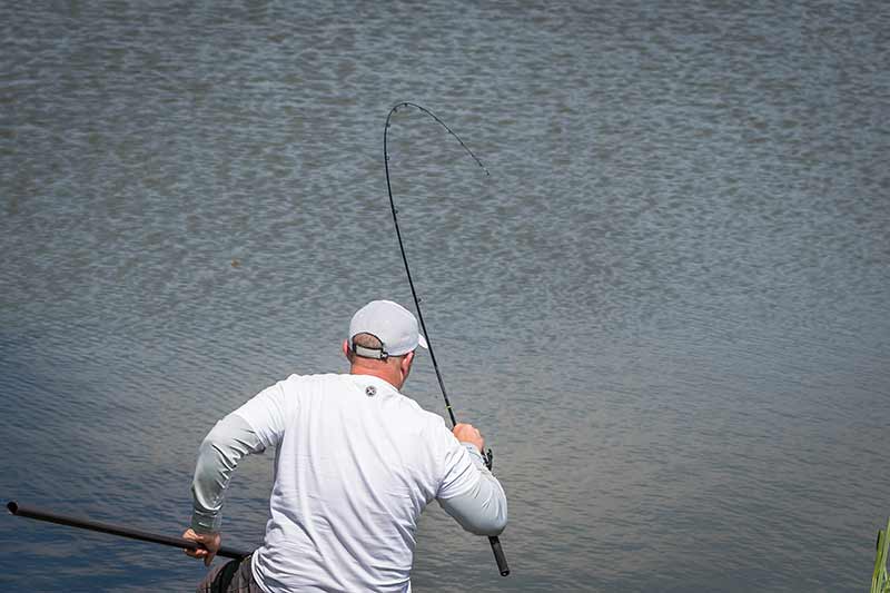 Aquos Ultra C Feeder Rods