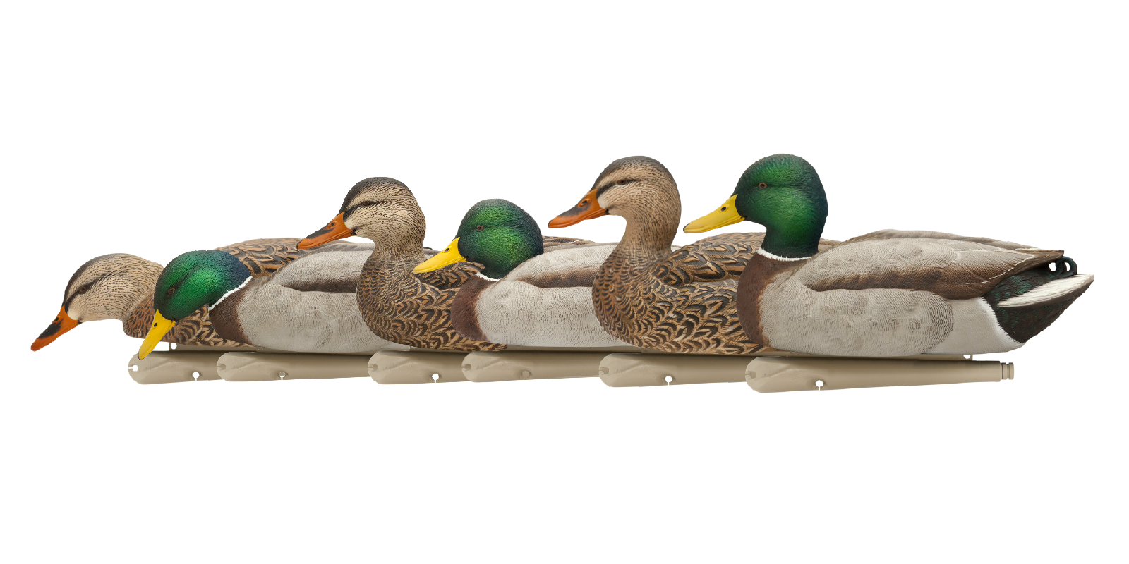 Avian X atrape rata (6 buc /set) oversize 37 cm