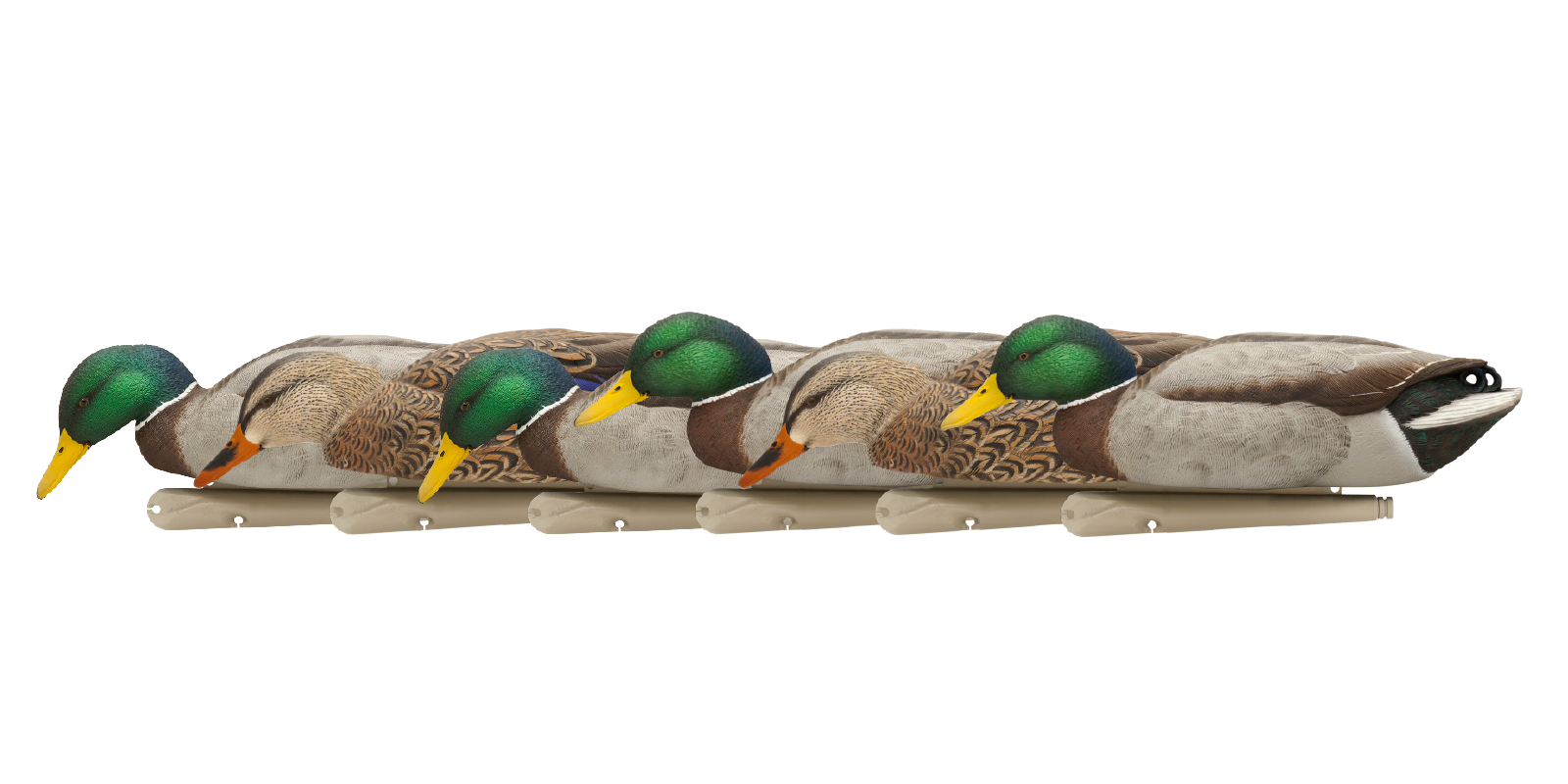 Avian X atrape rata la hrana (6 buc /set) oversize 37 cm