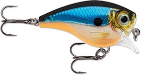 BX BRAT BIG BXBB06 BGH
