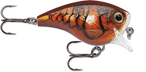 BX BRAT BIG BXBB06 BLZ