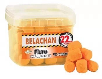 Catfish - Belachan pop ups 22mm cutie