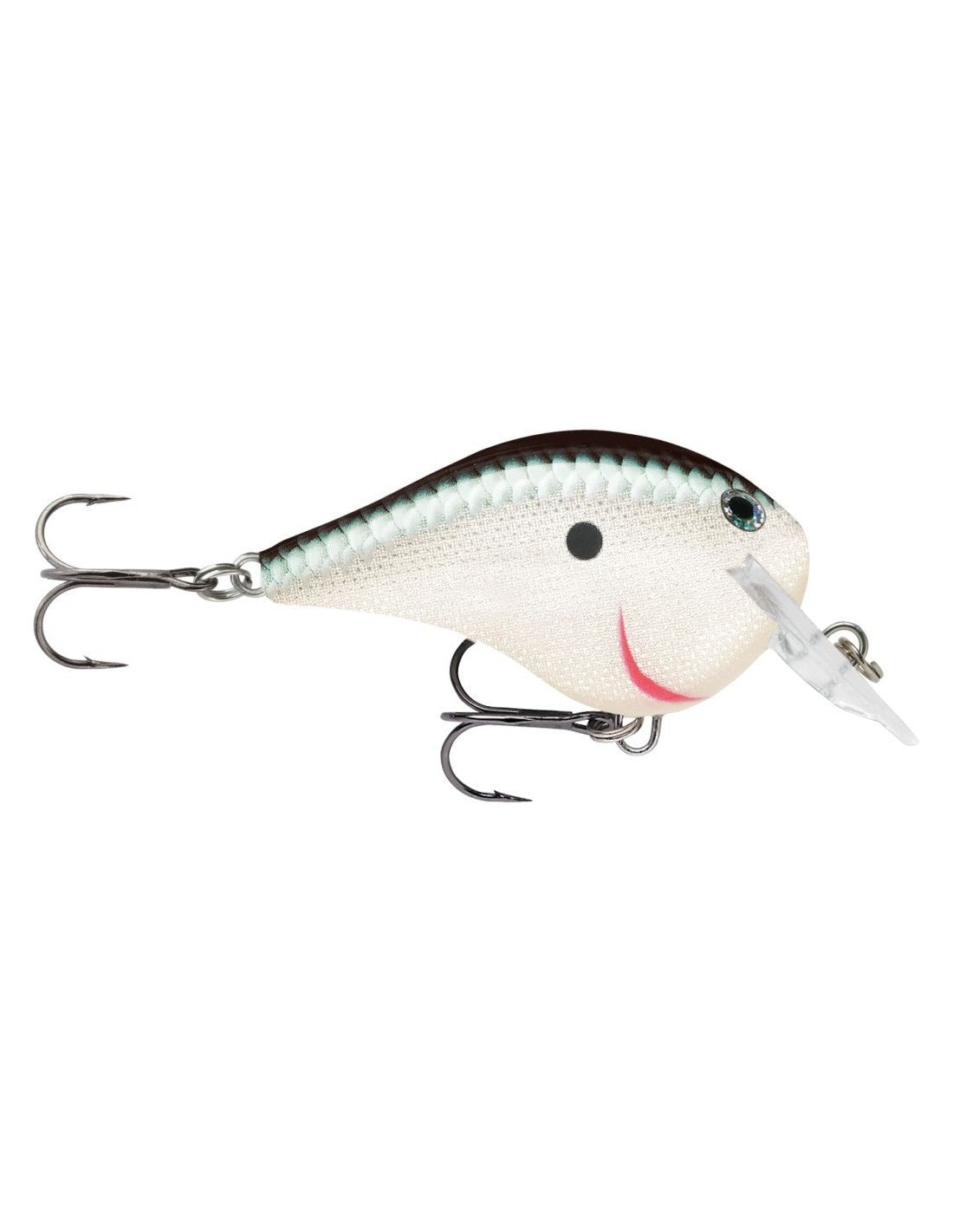 DIVES-TO FAT DTFAT03  S