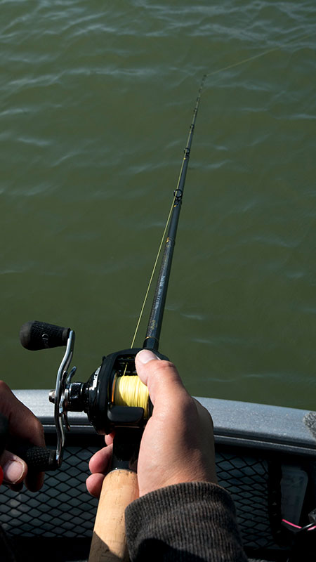 Fox Rage Terminator® Versatile Light Casting Rod (Spares Only)