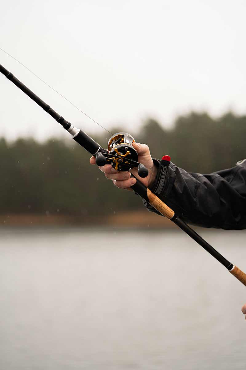 Fox Rage TR Mega Swim Casting Rod