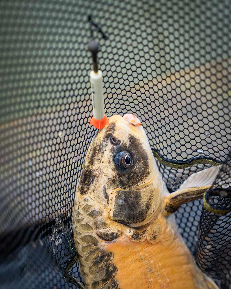 Matrix Foam Pellet Wagglers