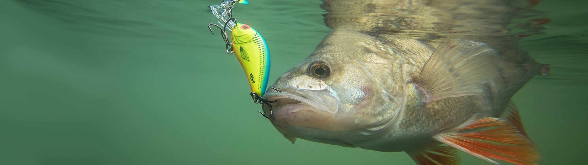 Slider Sinking 4 3/4"