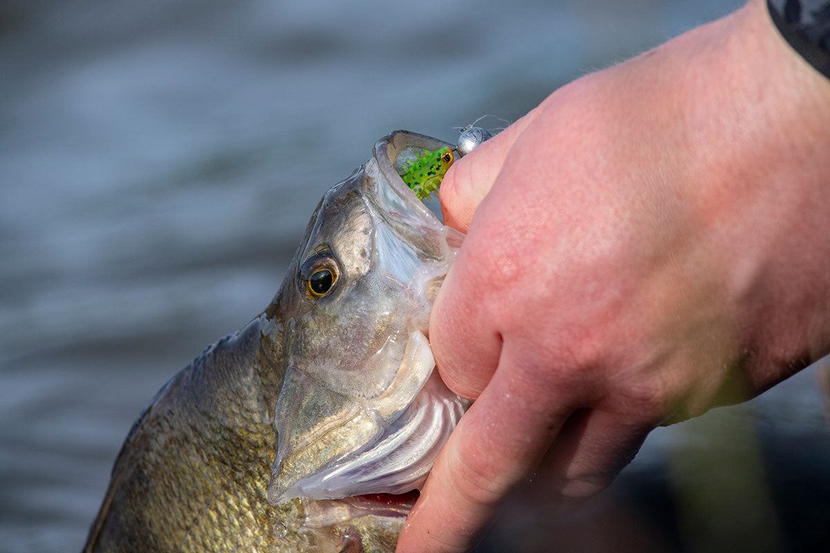 Fox Rage Micro Jig Heads