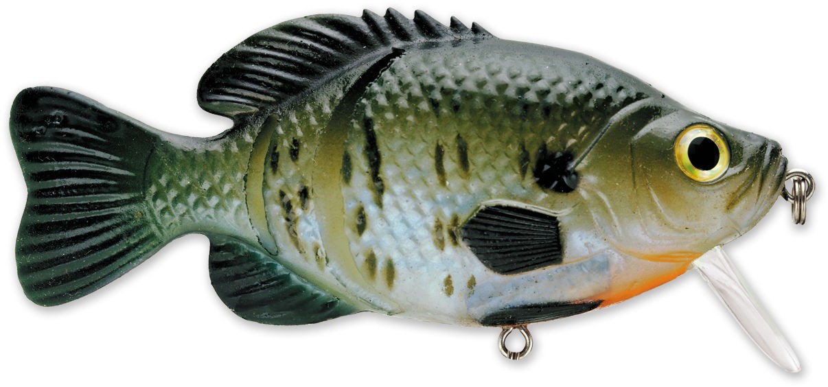 KICKIN' SLAB 04 BLUEGILL