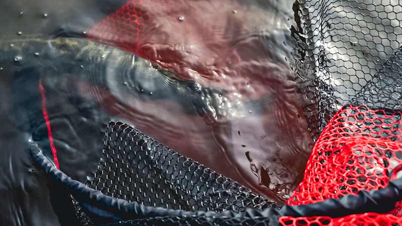 Fox Rage Speedflow Landing Nets