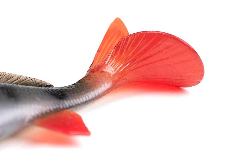 Fox Rage Ultra-Realistic Perch Replicant