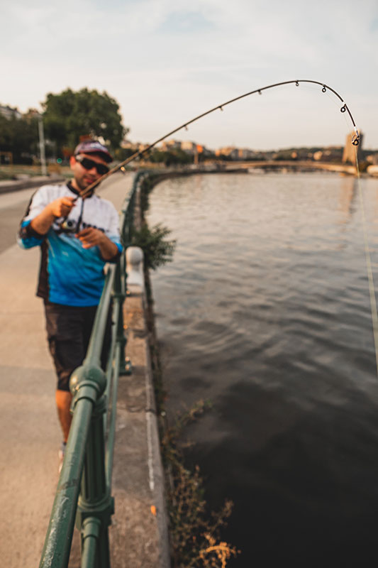 Fox Rage Street Fighter Perch Poker Rod