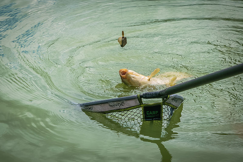 Matrix Interchangeable Pellet Feeders