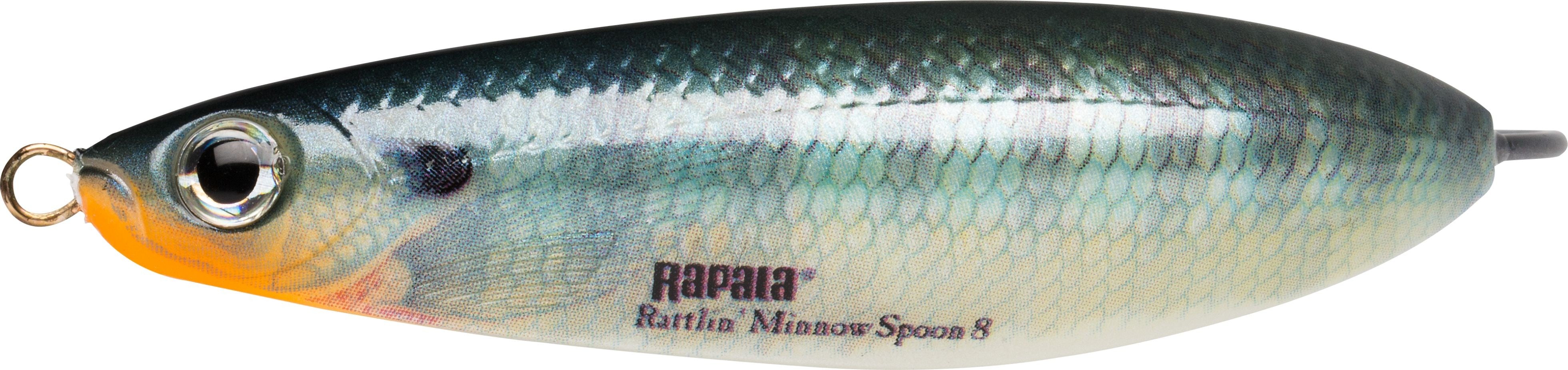 RATTLIN' MINNOW SPOON 08 BG