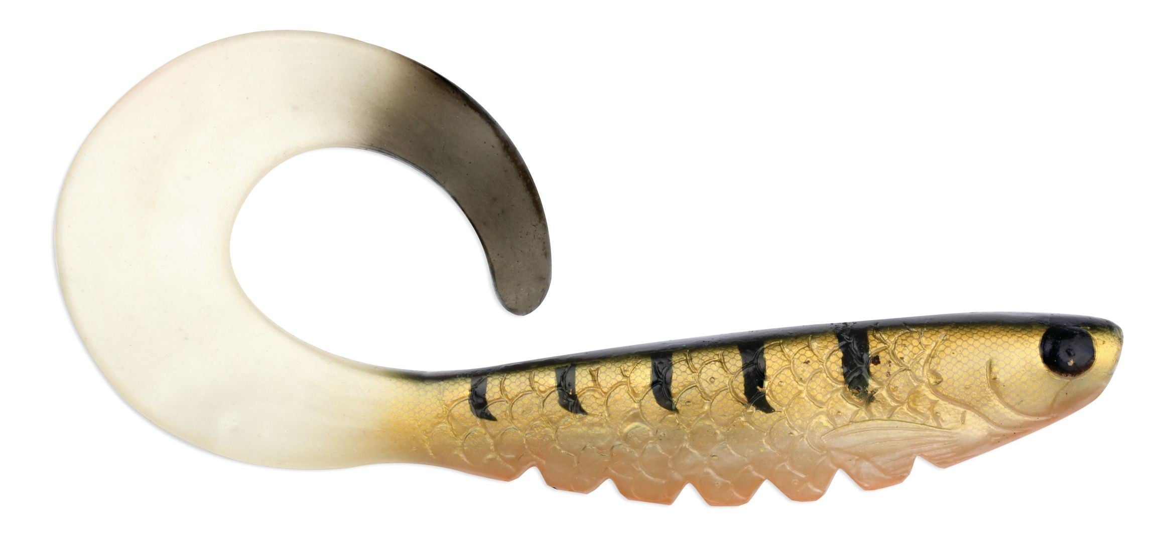 R.I.P. CURLY TAIL 06 PERCH