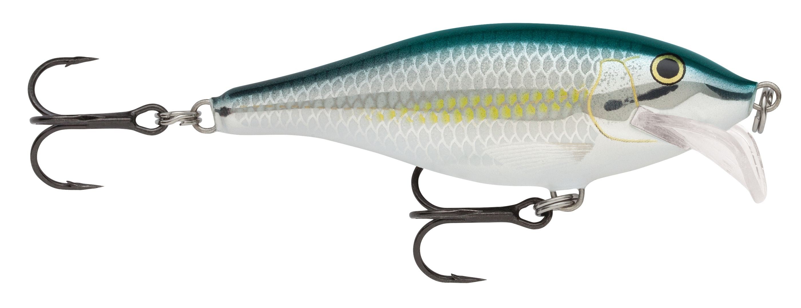 SCATTER RAP SHAD SCRS05  ALB
