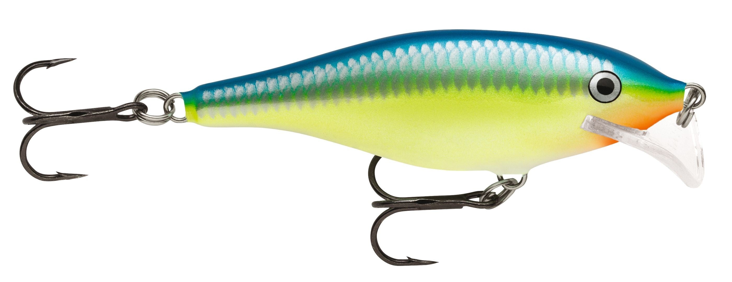 SCATTER RAP SHAD SCRS05  CRSD