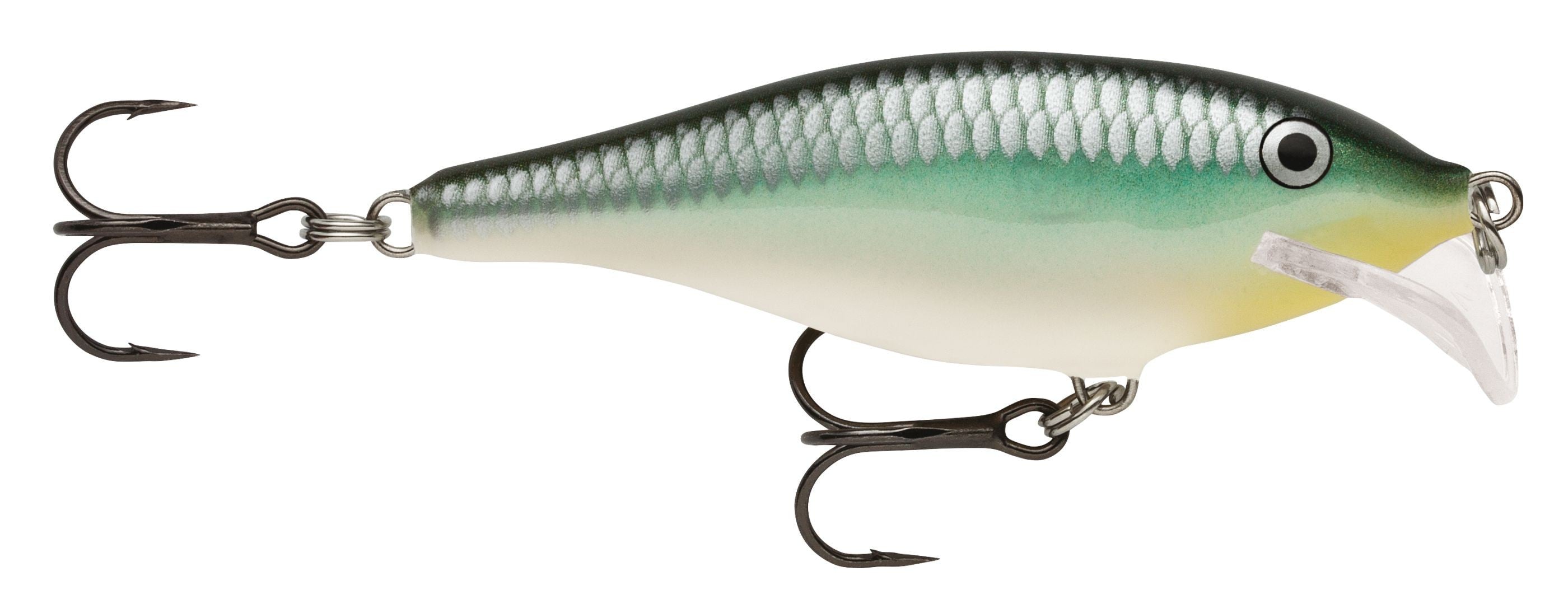 SCATTER RAP SHAD SCRS07  BBH