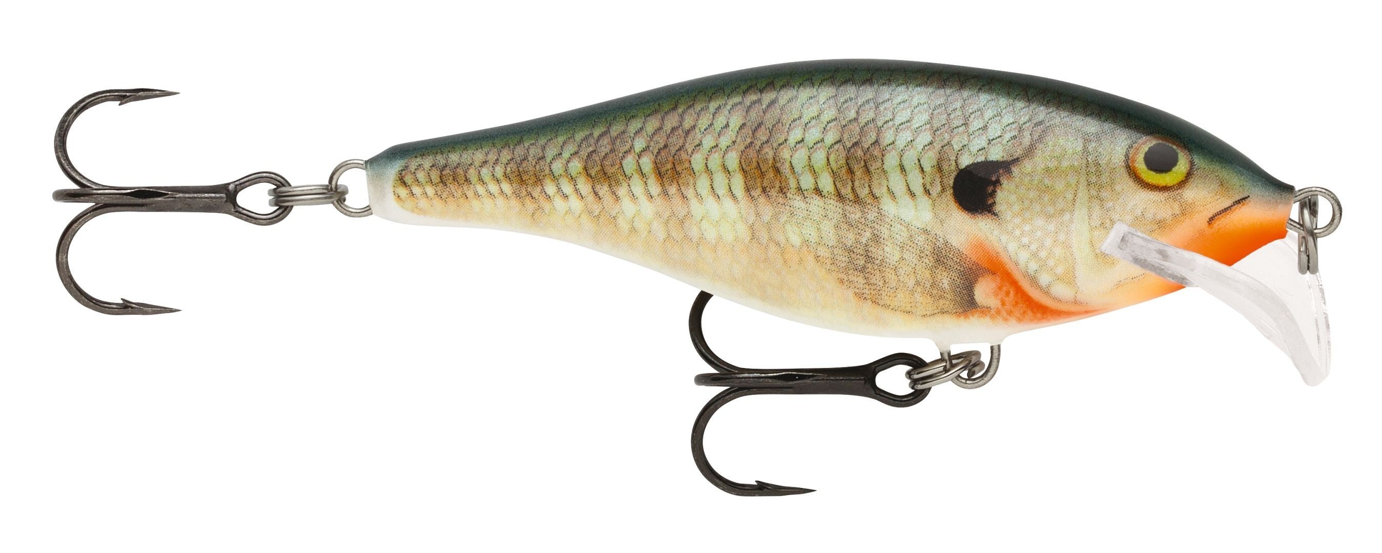 SCATTER RAP SHAD SCRS07  BG