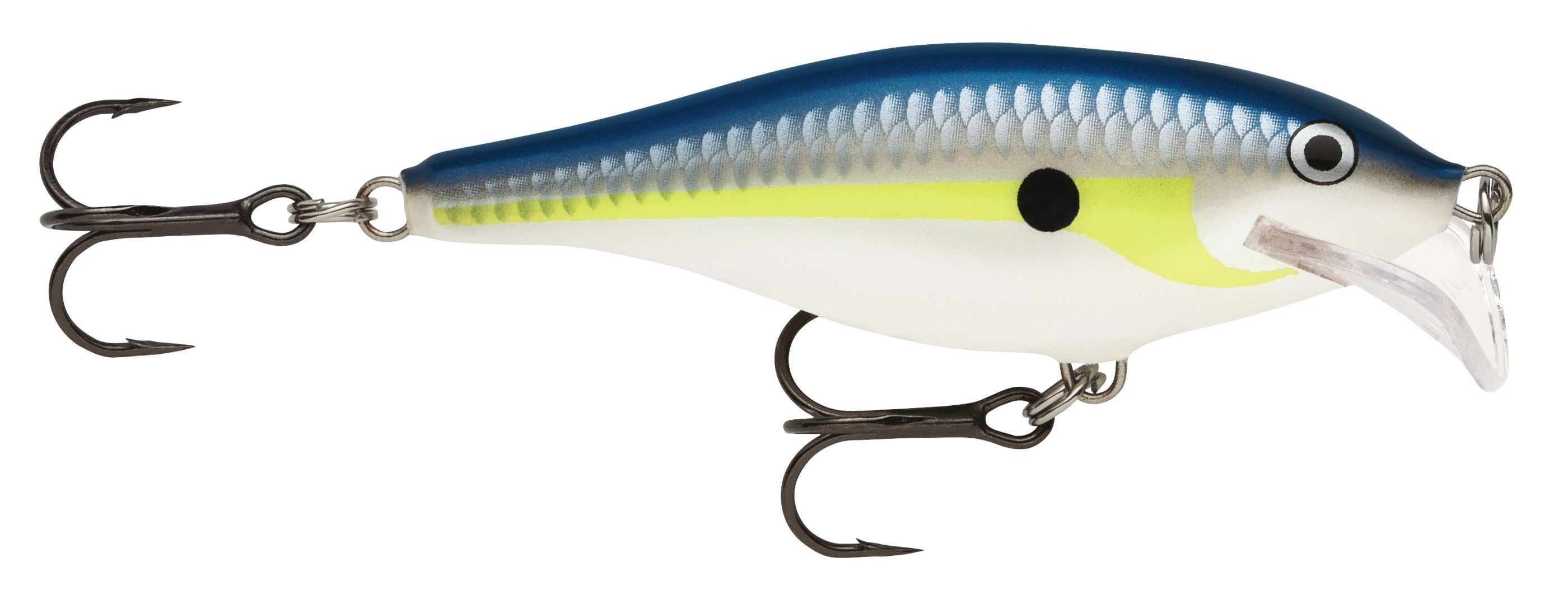 SCATTER RAP SHAD SCRS07  HSD