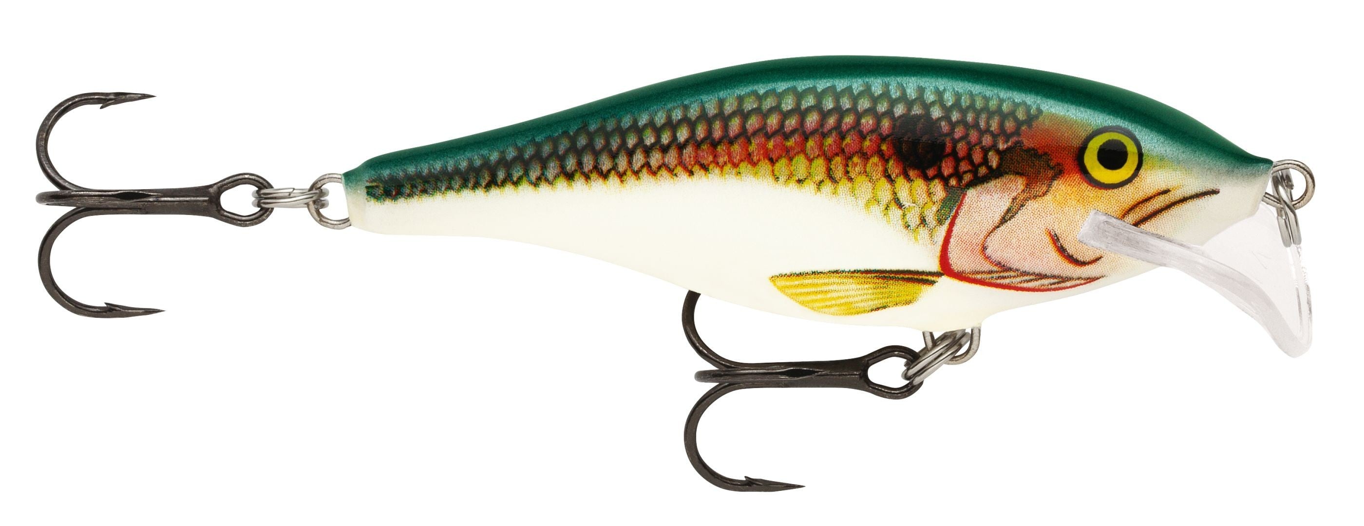 SCATTER RAP SHAD SCRS07  SD