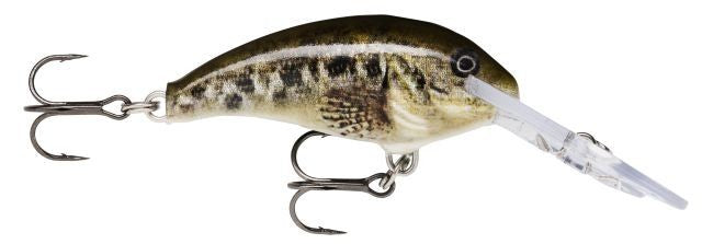 SHAD DANCER SDD05  SCPL