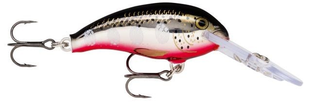 SHAD DANCER SDD05  SFL