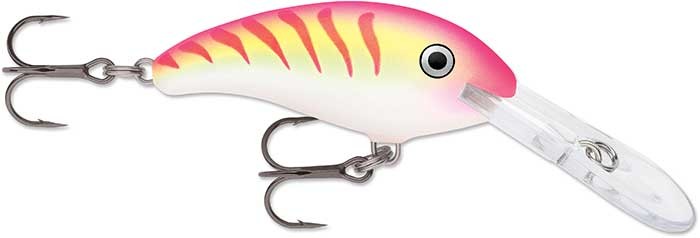 SHAD DANCER SDD07 PTU