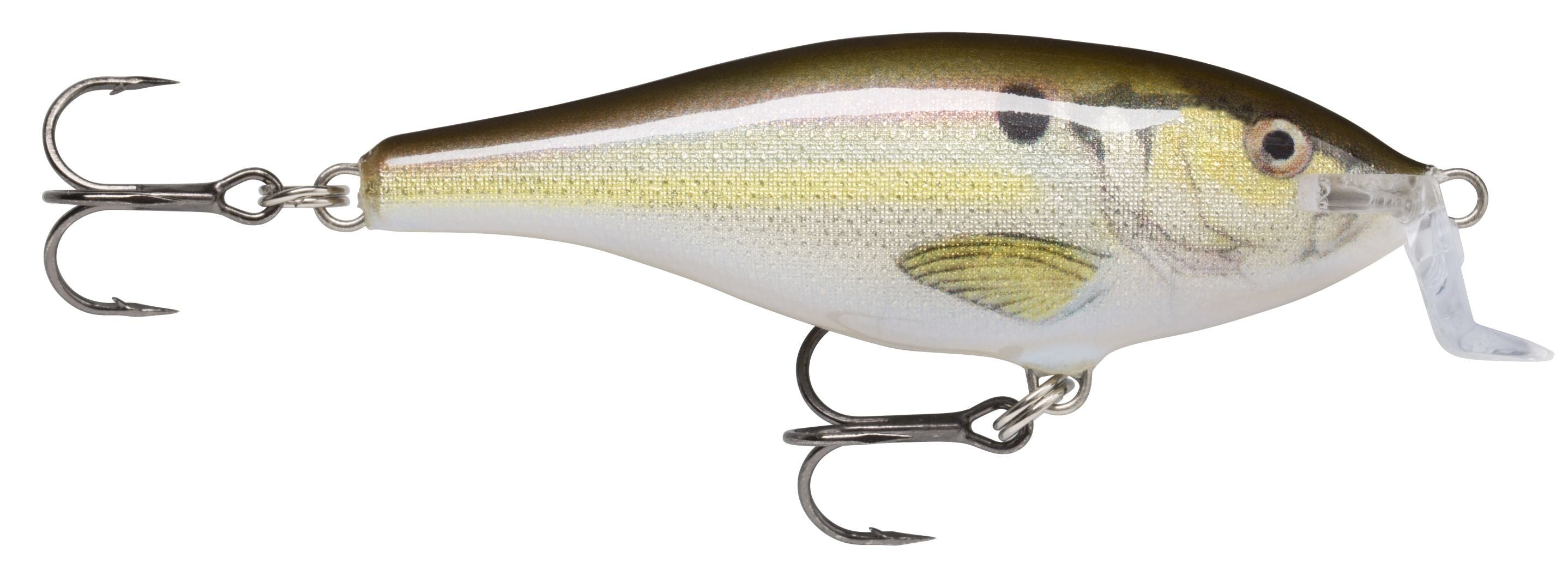 SHALLOW SHAD RAP SSR05  RSL