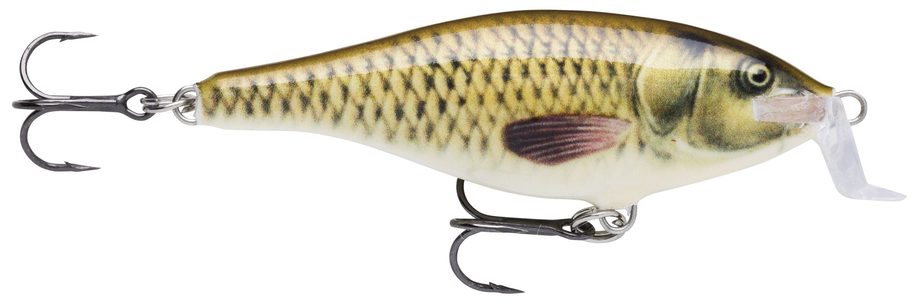 SHALLOW SHAD RAP SSR07  CARP
