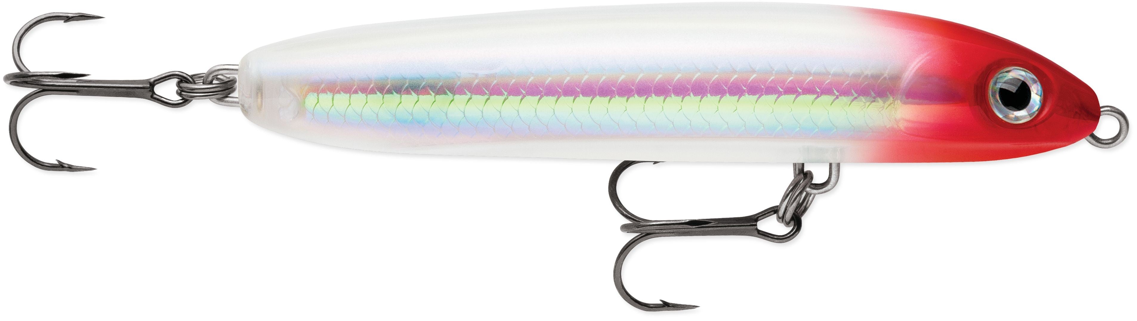 SKITTER V 10 RGH