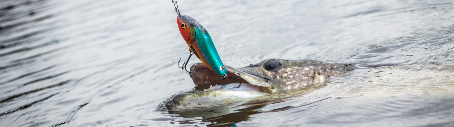 Slider Sinking 4 3/4"