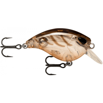 STORM GOMOKU CRANK SHALLOW GCS38 BTP