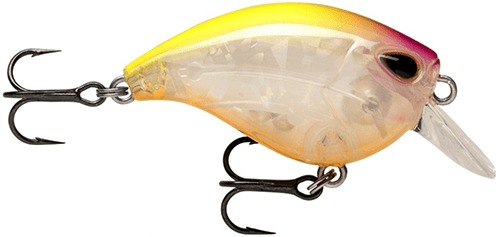 STORM GOMOKU CRANK SHALLOW GCS38 CLPHC